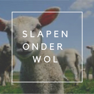 Lees meer over het artikel een wollen dekbed