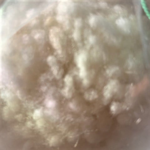 kussenvulling wol (natuurproduct)