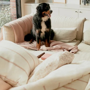 lits jumeaux dekbedovertrek HEMA kopen